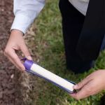 Massey Services Pest Control