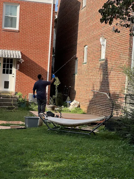 Southern Pest Control Picture 5