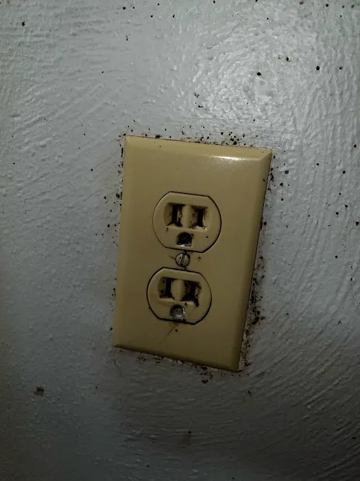 Tony’s Pest Killers Picture 10