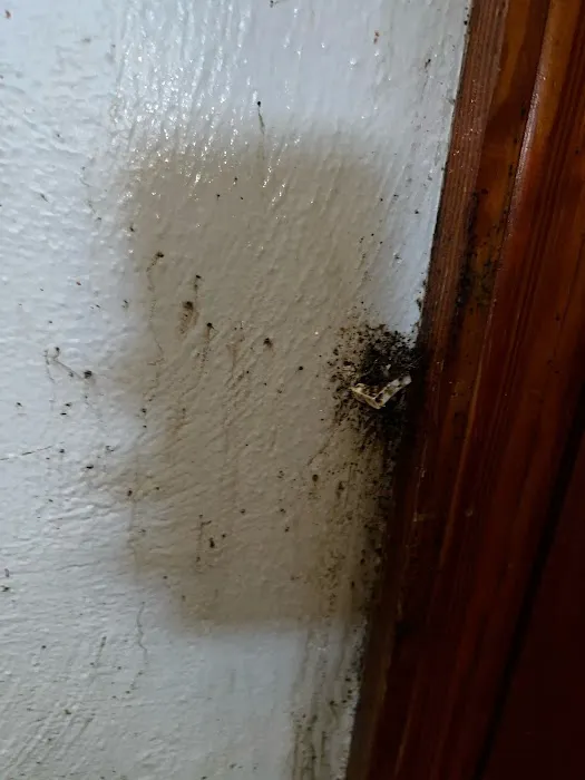 Tony’s Pest Killers Picture 4