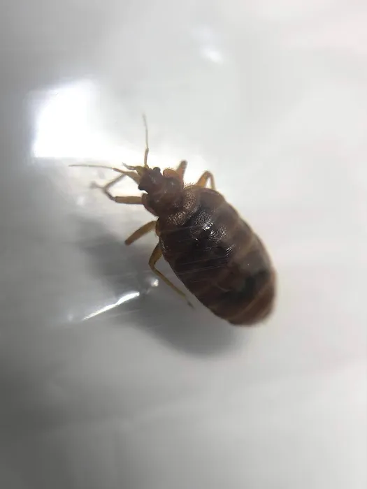 Tony’s Pest Killers Picture 1
