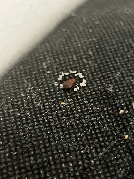 Tony’s Pest Killers Picture 2