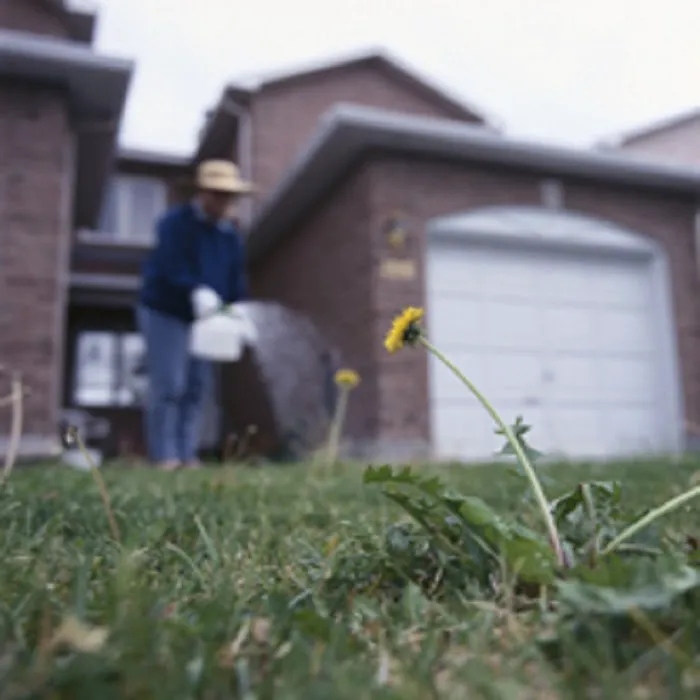 Houchins Pest Control Service Picture 4