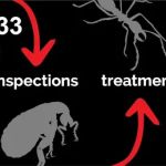 RVA Pest Control - Hopewell