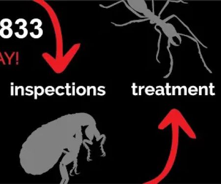 RVA Pest Control - Hopewell