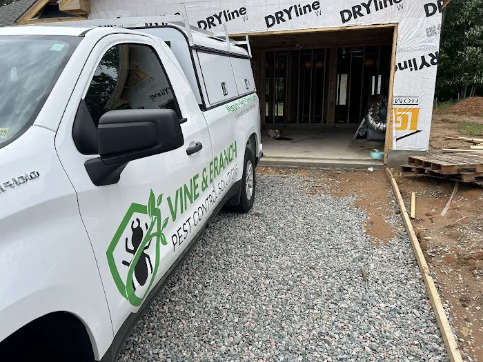 Vine & Branch Pest Control Solutions Picture 7
