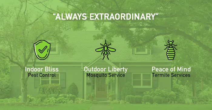 Vine & Branch Pest Control Solutions Picture 5