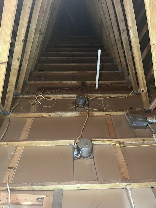 Alpha Animal Removal llc Picture 7