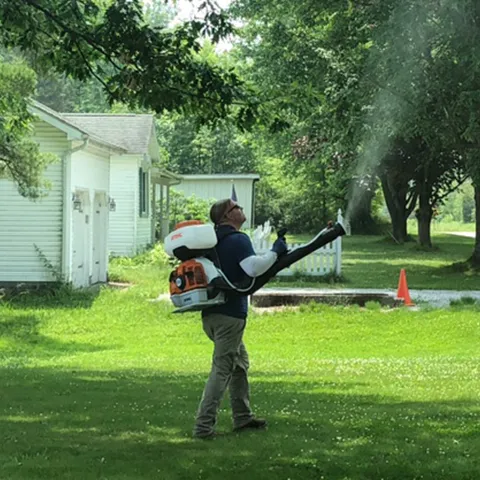 Lakeshore Pest Control Picture 3