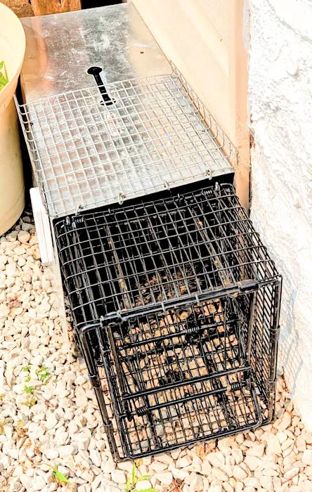 Trapper Bob's Nuisance Trapping Picture 2