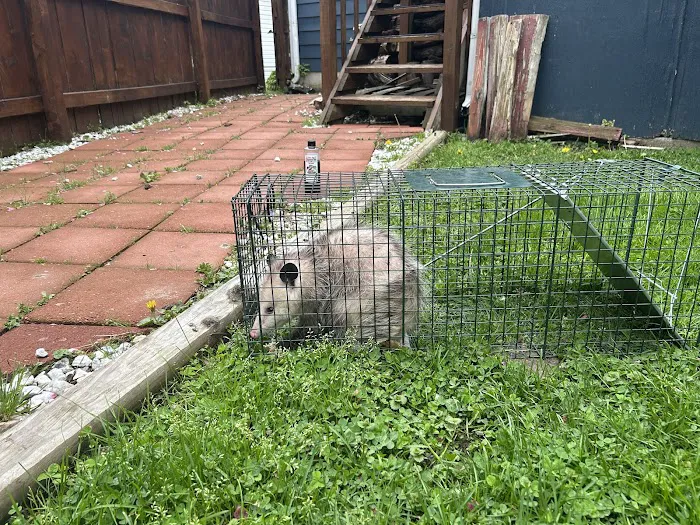 Lake Erie Wildlife LLC Picture 2