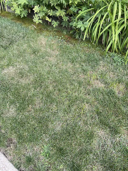 Lawn Doctor of Chardon Picture 1