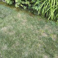 Lawn Doctor of Chardon ico