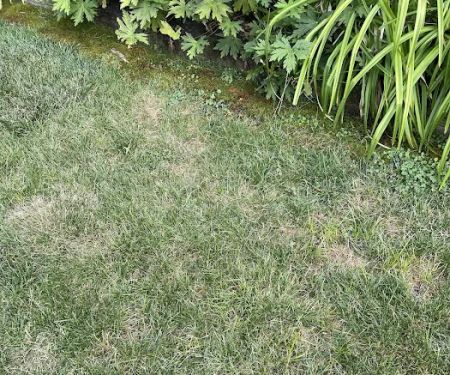 Lawn Doctor of Chardon
