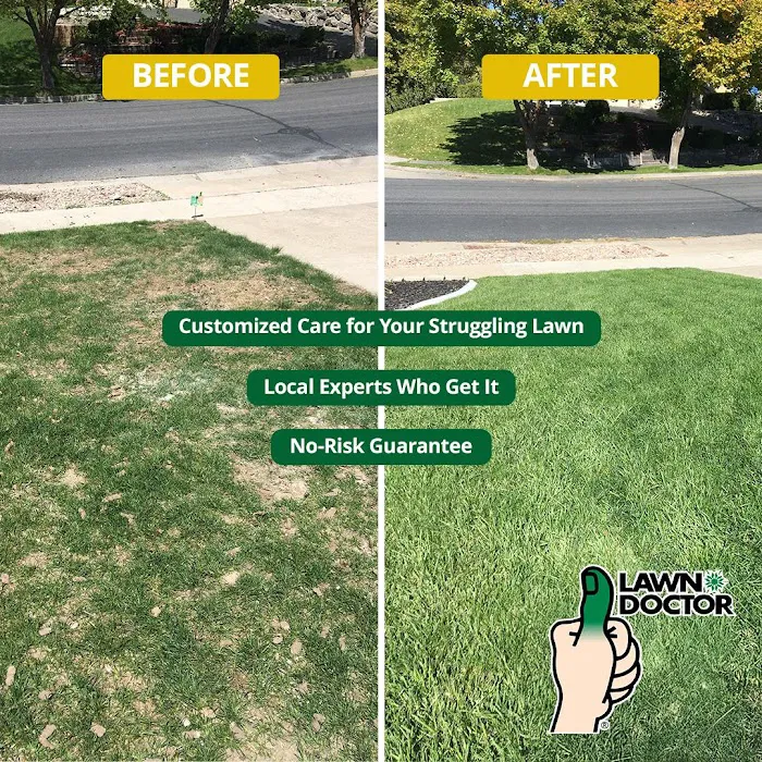 Lawn Doctor of Chardon Picture 10