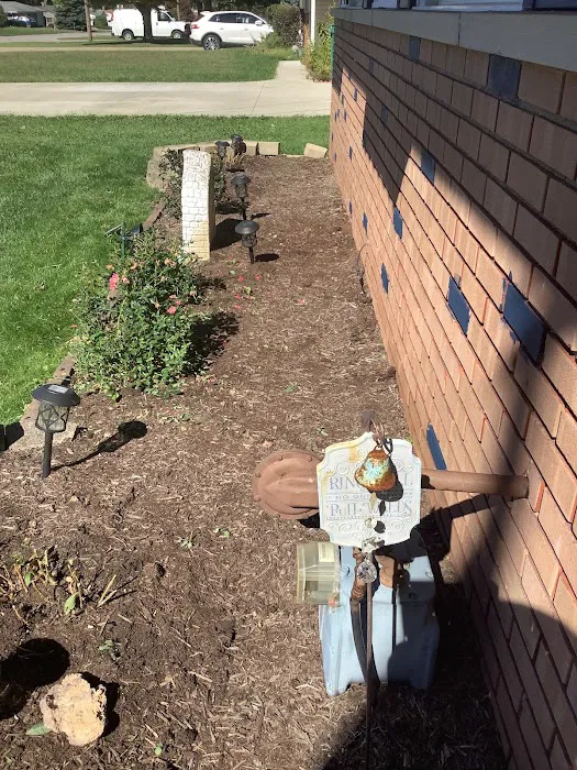 NEO Wildlife Removal Picture 3