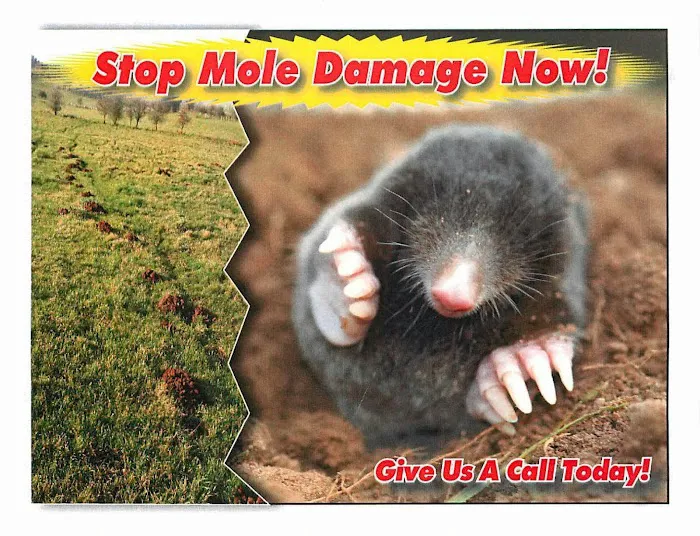 Chagrin Valley Pest Control Picture 9