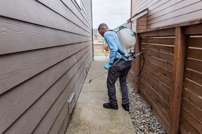 Insight Pest Solutions Picture 3