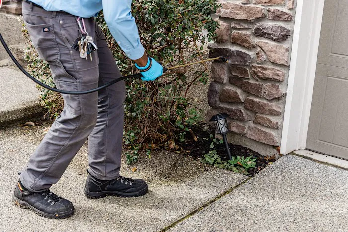 Insight Pest Solutions Picture 2