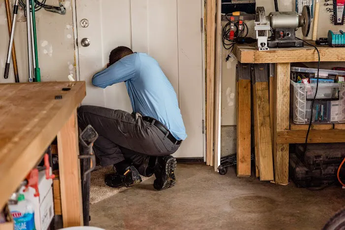 Insight Pest Solutions Picture 6