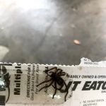 High Rock Pest Control