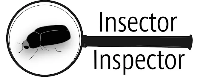 Insector Inspector Picture 1