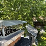 Trappy's Wildlife Control