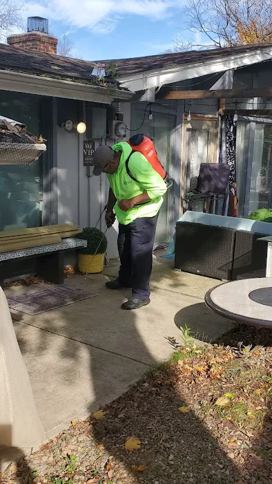 D-Bugz Pest Control LLc Picture 8