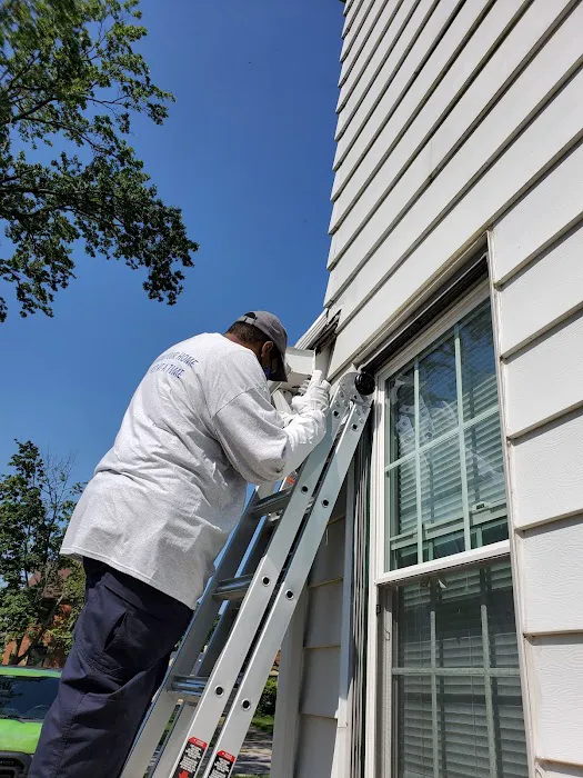 D-Bugz Pest Control LLc Picture 6