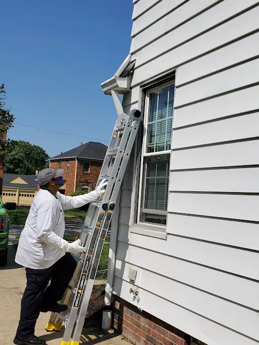 D-Bugz Pest Control LLc Picture 7