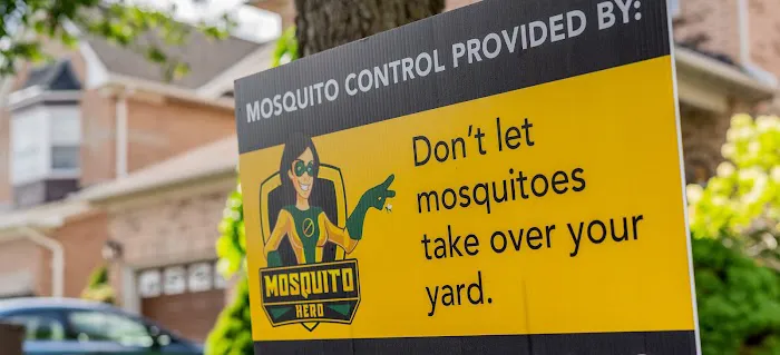 Mosquito Hero Picture 10