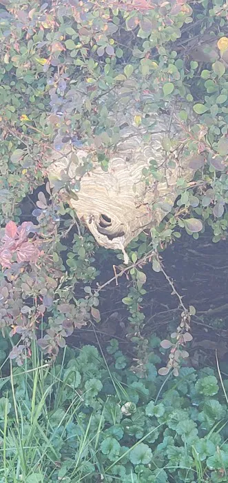 Hosterman's Home Services Pest Management Picture 3
