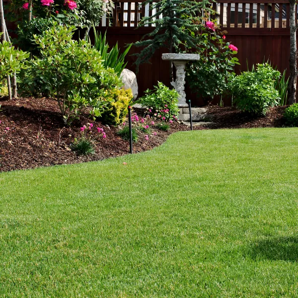 Portage Turf and Pest Picture 4