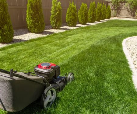 Portage Turf and Pest
