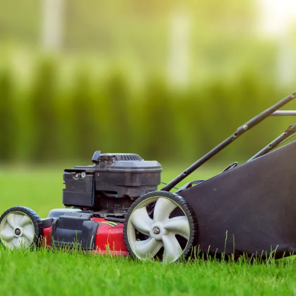 Portage Turf and Pest Picture 7