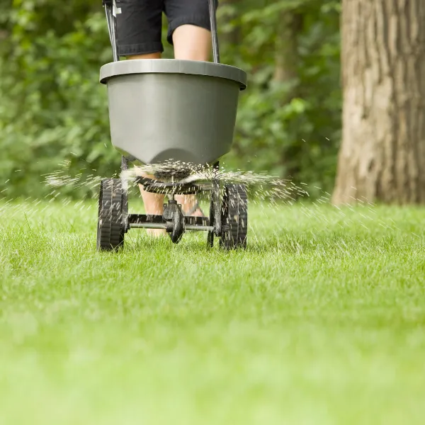 Portage Turf and Pest Picture 5