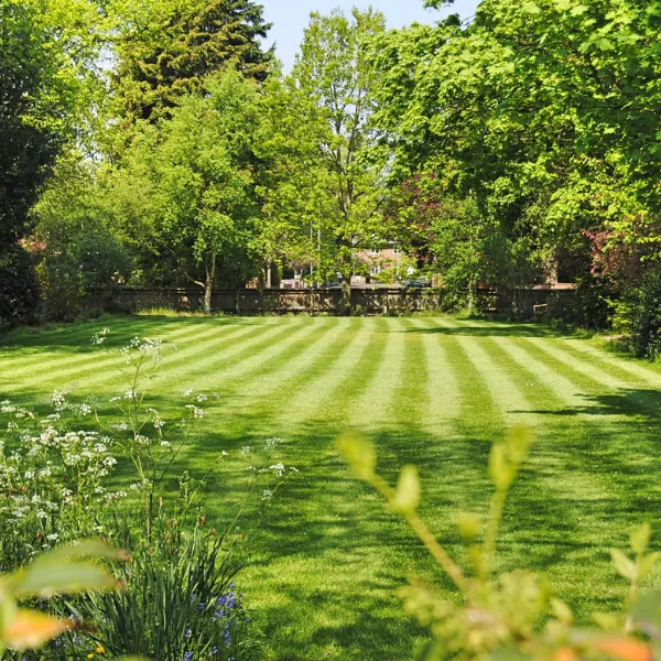 Portage Turf and Pest Picture 9