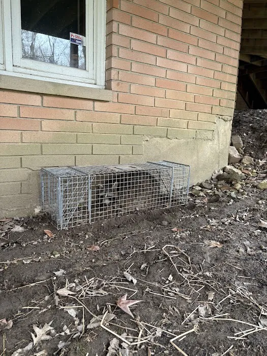 Varment Guard Wildlife Services Picture 6