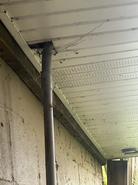 Greenix Pest Control Picture 3