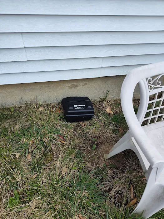 Greenix Pest Control Picture 4