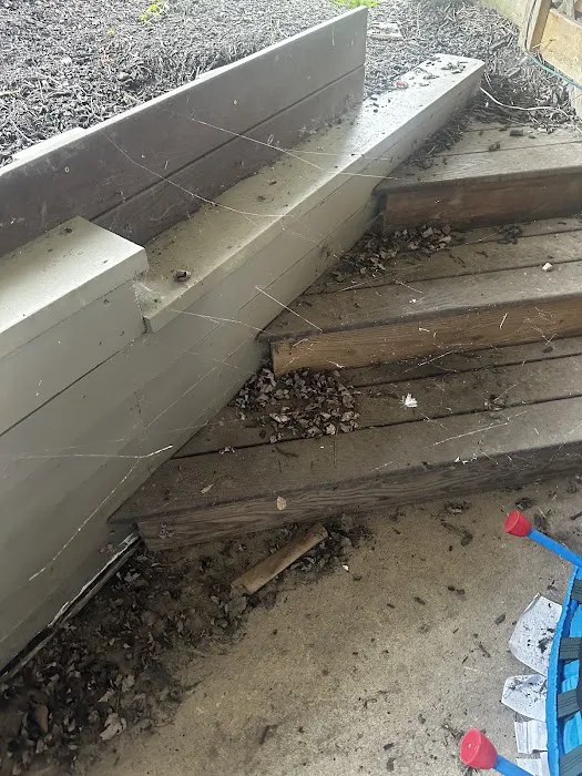 Greenix Pest Control Picture 6