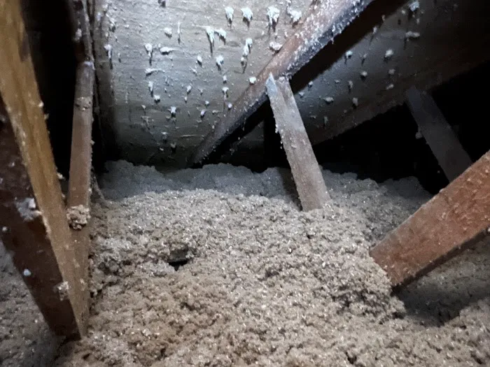 Moxie Pest Control Picture 9