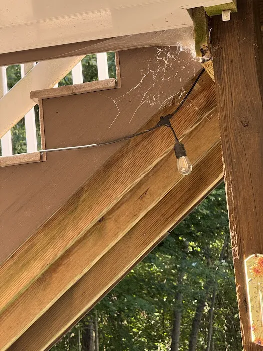 Moxie Pest Control Picture 7