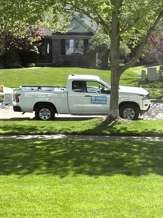 Moxie Pest Control Picture 3