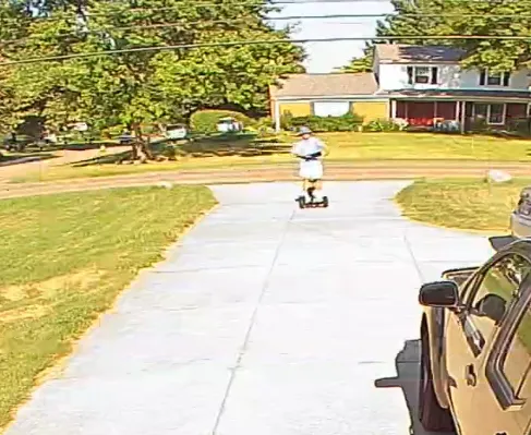 Moxie Pest Control Picture 1