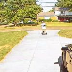 Moxie Pest Control