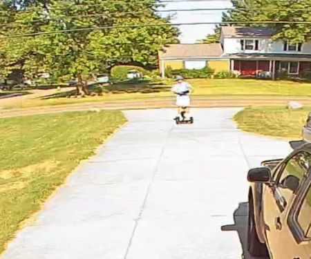 Moxie Pest Control