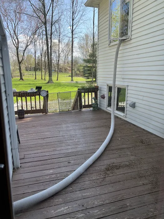 Moxie Pest Control Picture 6