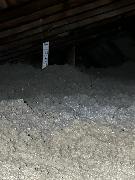 Moxie Pest Control Picture 5