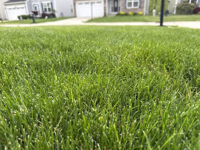 Kapp's Green Lawn Picture 5